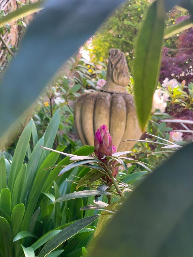 Sainte-Suzanne Cote Jardin住宿加早餐旅馆 外观 照片